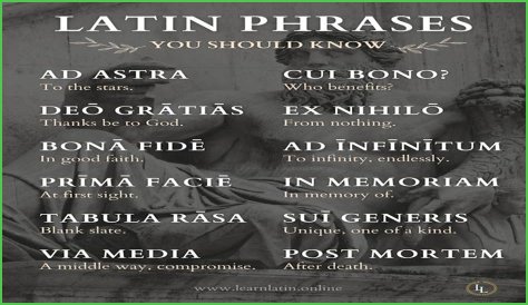 A Profile Of A Latin Beauty