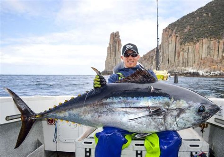 Are there bluefin tuna in Florida?
