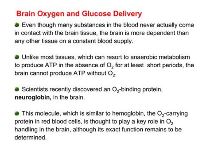 Can the brain produce ATP without oxygen?