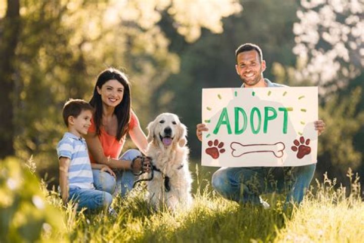 Can you adopt a dog under 18?
