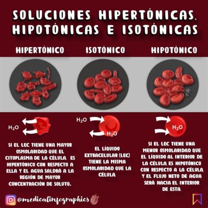 ¿Cuál es la diferencia entre Isotonico e Hipertonico?