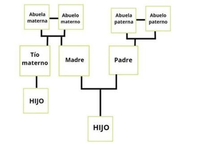 ¿Cuánto se paga por una herencia de tíos a sobrinos?