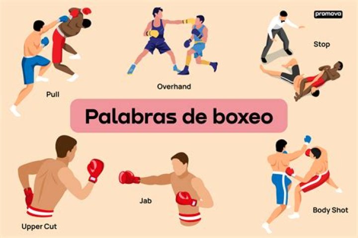 ¿Cuántos golpes dan en una pelea de boxeo?