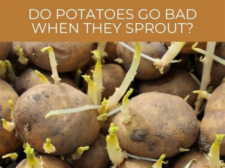 Do potatoes go bad if left out?