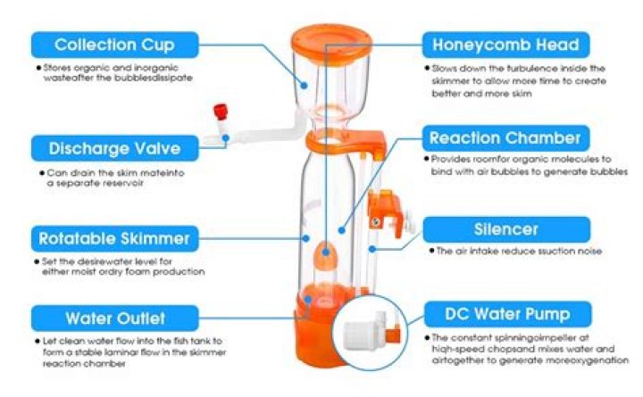 Does protein skimmer remove calcium?