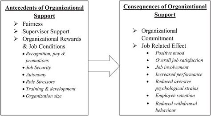 How can perceived organizational support be improved?