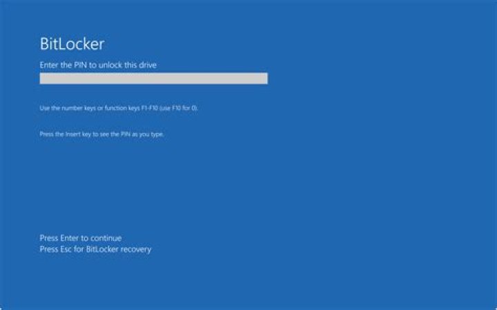 How do I enable BitLocker on my Dell?