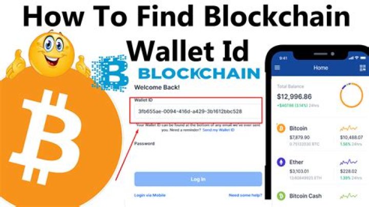 How do I find my Blockchain wallet ID?