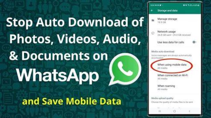 How do I get WhatsApp to automatically download pictures?