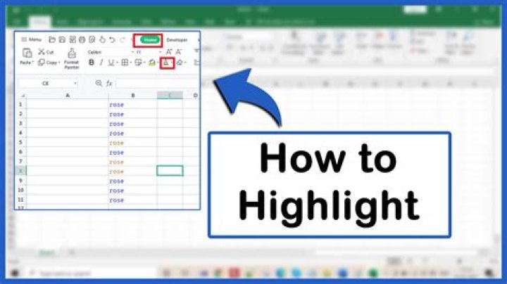 How do you highlight values in Excel?