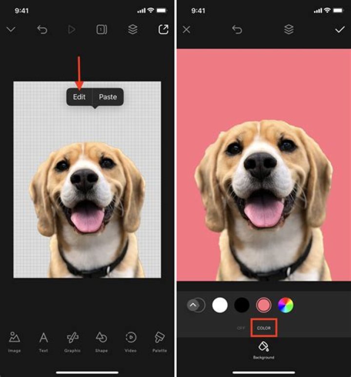 How do you make a copy of a photo on iPhone?