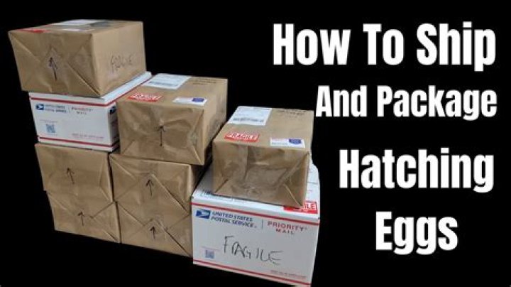 How do you ship and package?
