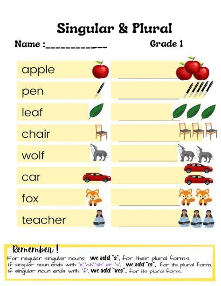 How do you teach singular and plural to grade 1?