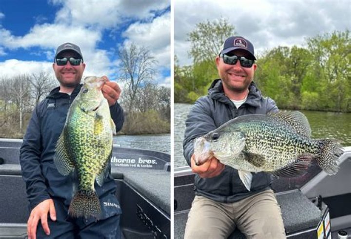 How is the fishing Grenada Lake for crappie?
