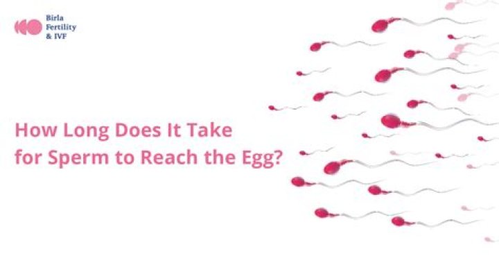 How long does it take to sous vide eggs?