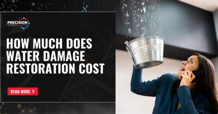 How much does the damage protection plan cost?