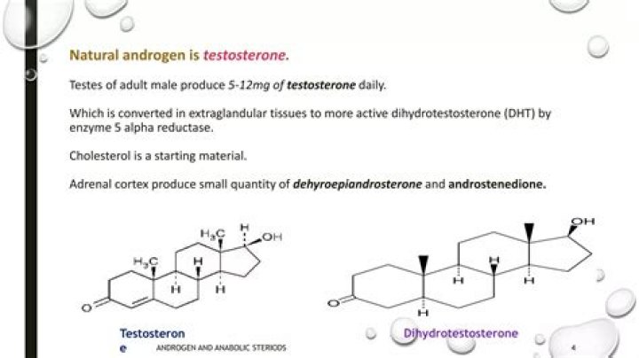 Is DHEA an anabolic steroid?