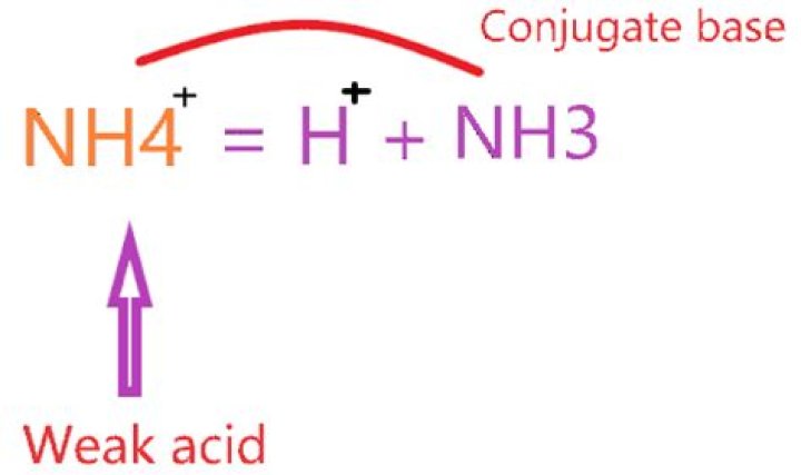 Is nh4 a strong base?