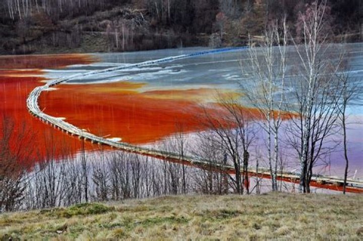 Is Pure Water Toxic?
