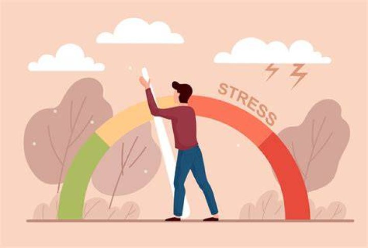 Is stress free one word?