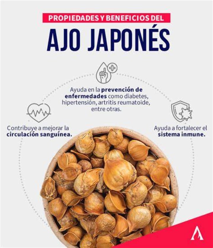¿Qué enfermedades cura el ajo japonés?