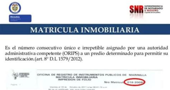 ¿Qué es la matrícula inmobiliaria ejemplo?