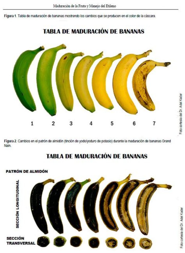 ¿Qué pasa si el bebé nace a las 35 semanas?