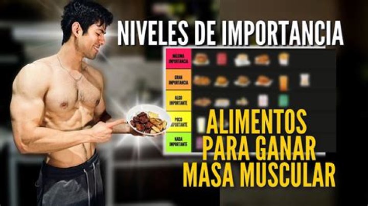 ¿Qué se debe comer para endurecer los musculos?