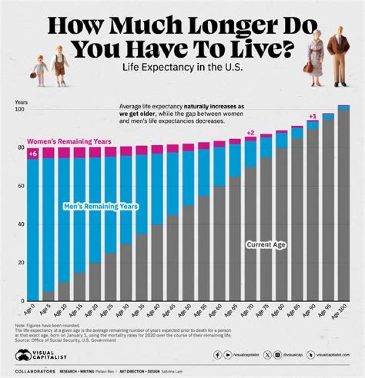 What's the average lifespan of a ferret?
