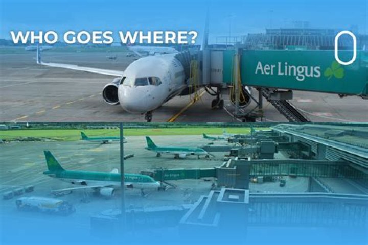 What airlines fly into pls?