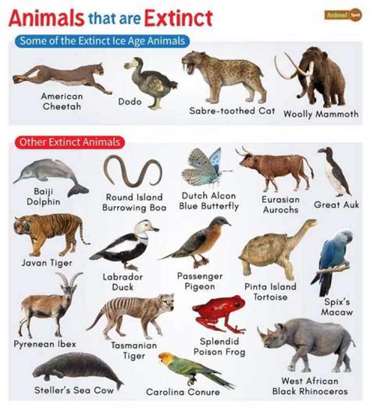 What animals are considered sentient?