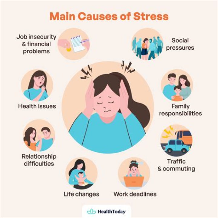 What are the major stressors for a student?