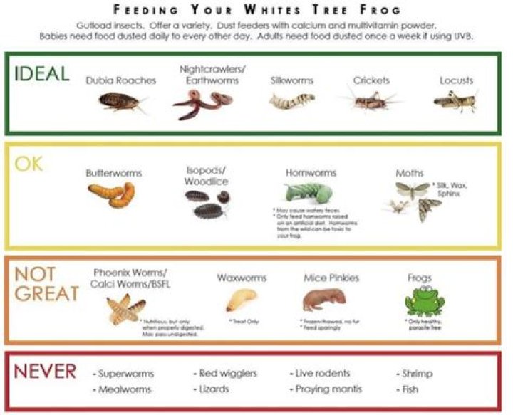 What are tree frogs good for?