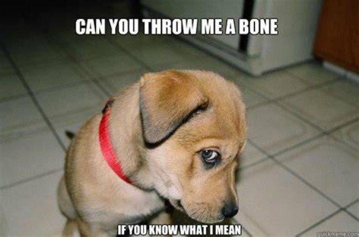 What does throw a dog a bone mean?