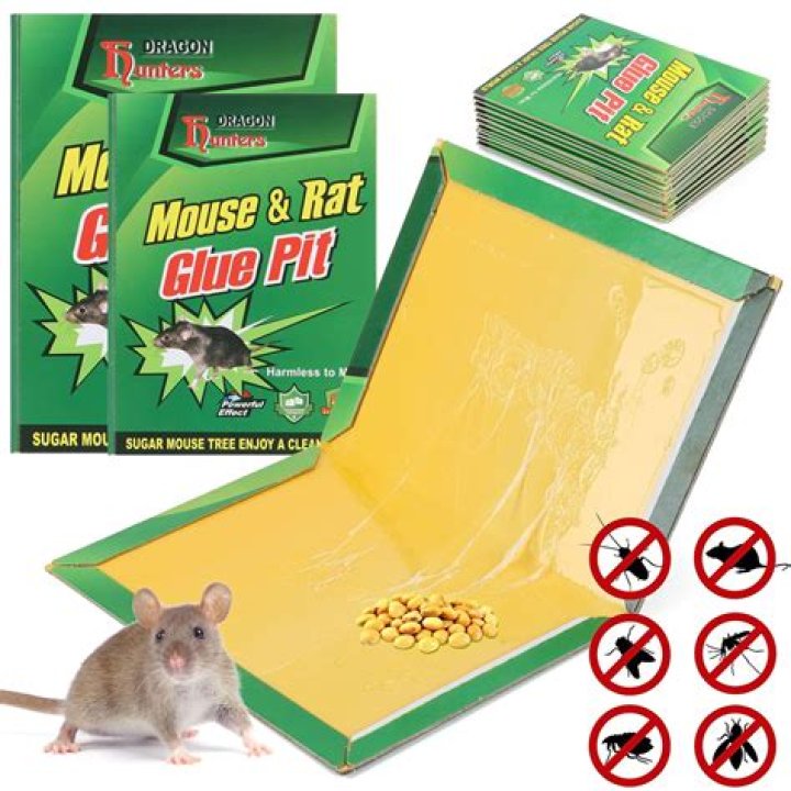 What glue is used in mouse traps?