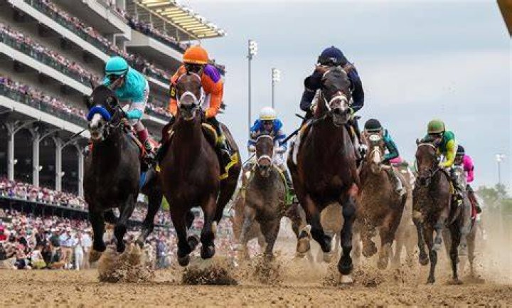 What horse racing tracks are in Florida?