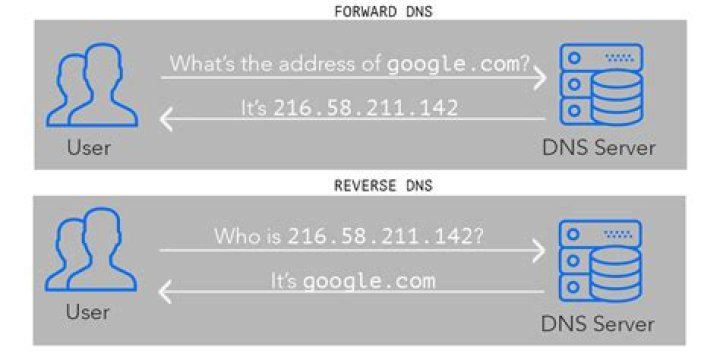 What is a DNS forward zone?