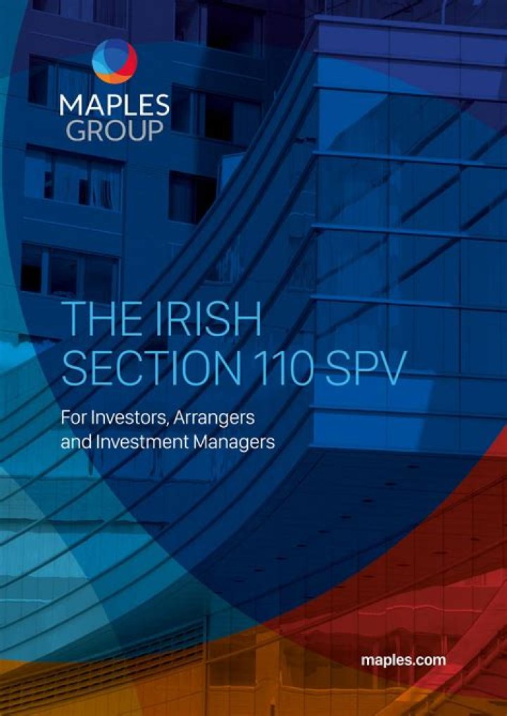 What is an Irish section 110 company?