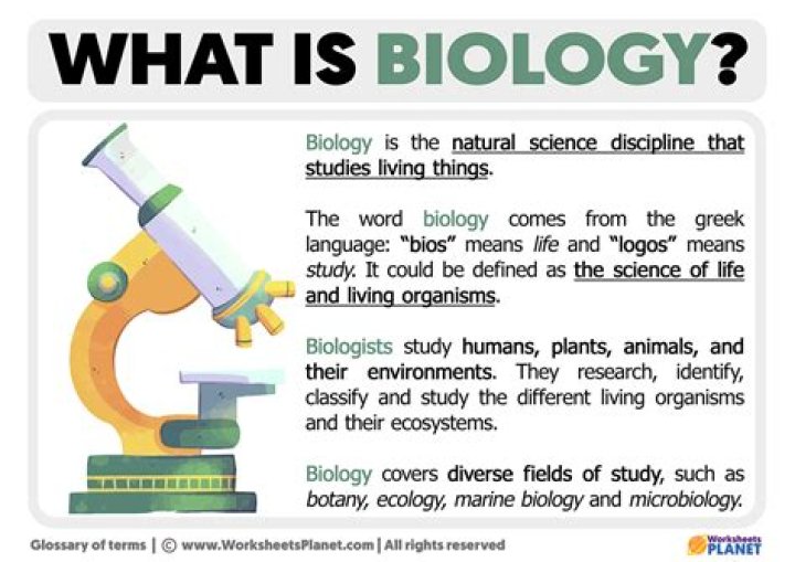 What is bio faces?
