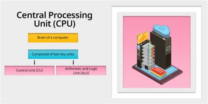 What is central processing unit in a computer?
