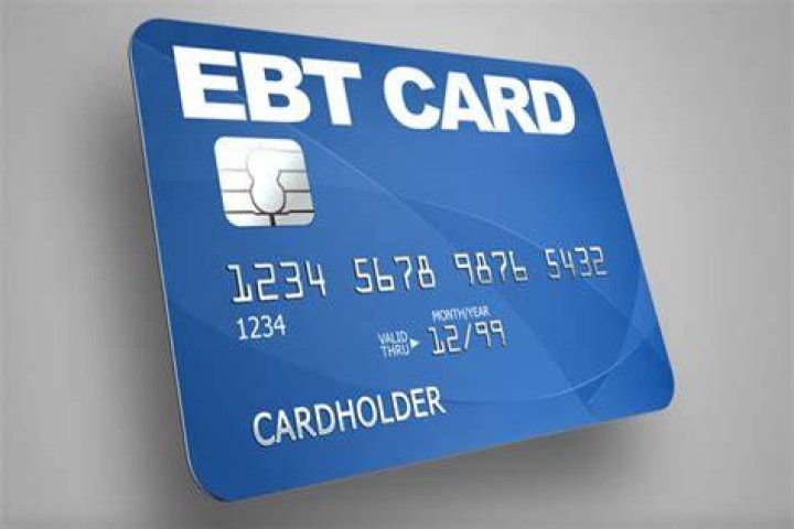 What is EBT Merchant FNS?