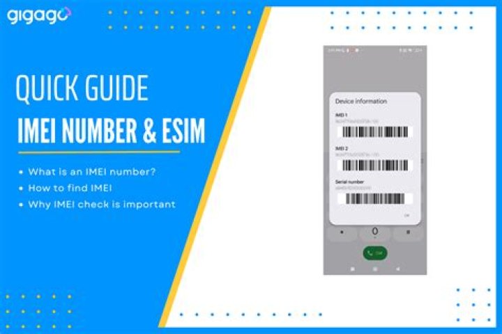 What is OEM serial number?