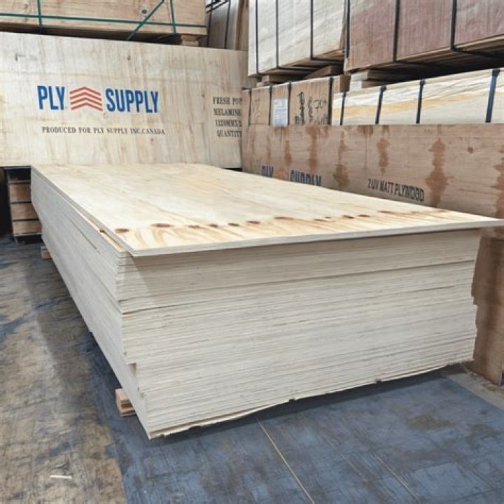 What is primed plywood?