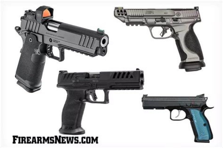 What is the best snake gun?