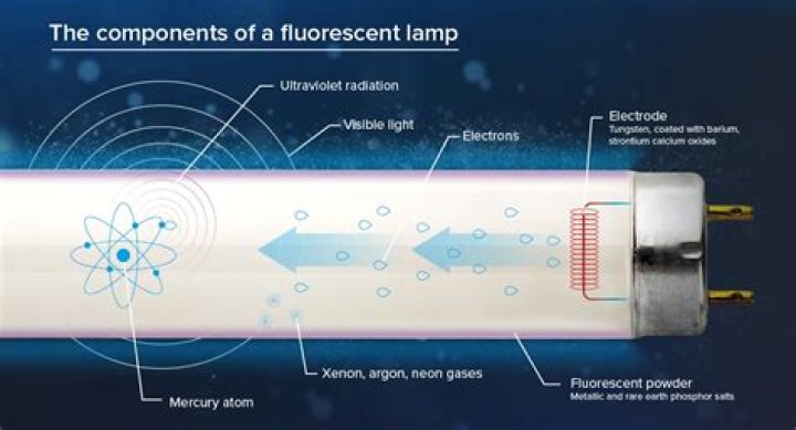 What is the function of fluorescent powder in fluorescent lamp?