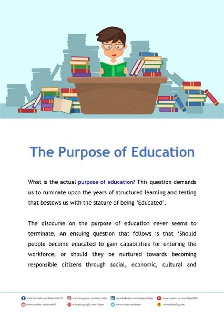 What is the main purpose of university education?