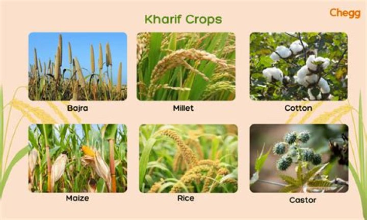 What kind of crops are grown in North Carolina?