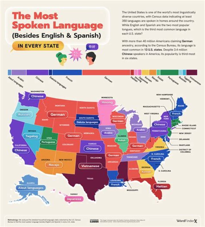 What language is hai?