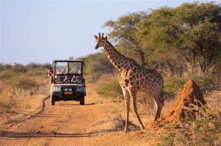 What shots do I need for African safari?