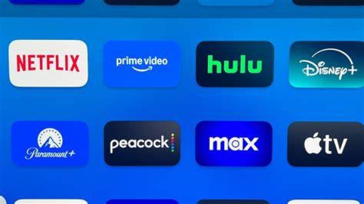 What streaming service has static shock?